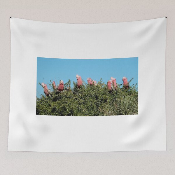 Item preview, Pack of Galahs designed and sold by CodyLaskeyPhoto.