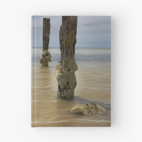 Item preview, Clifton Springs Foreshore designed and sold by Margaret Metcalfe.