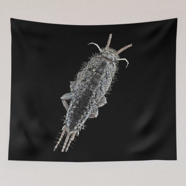 Item preview, Zygentoma silverfish designed and sold by SDym Photography.