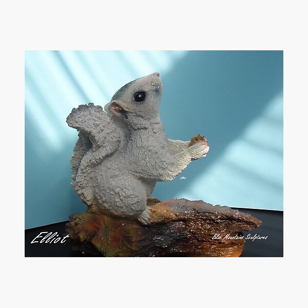 Making a sculpture stage 9 Elliot A beautiful white Squirrel much loved. Photographic Print