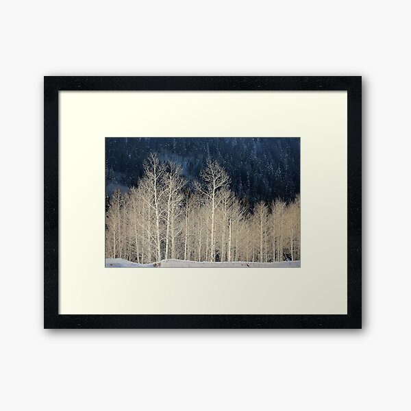 The Birches Framed Art Print