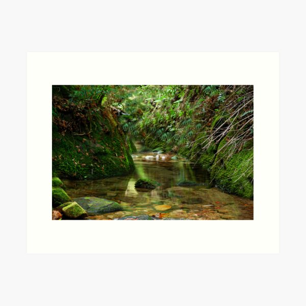 Item preview, Coachwood Glen - Megalong Valley NSW designed and sold by Bev Woodman.
