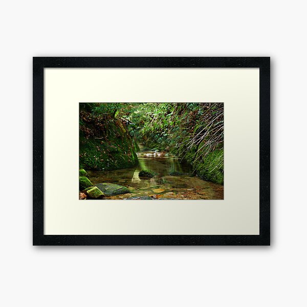 Item preview, Coachwood Glen - Megalong Valley NSW designed and sold by Bev Woodman.
