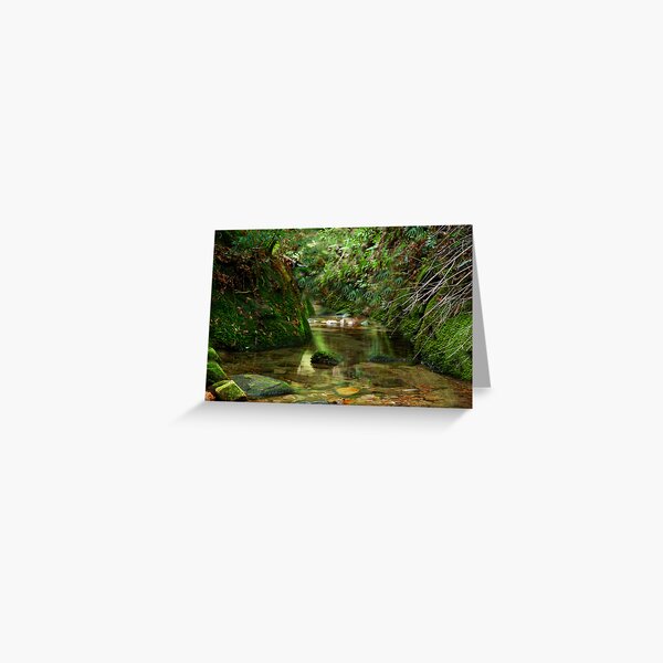 Item preview, Coachwood Glen - Megalong Valley NSW designed and sold by Bev Woodman.