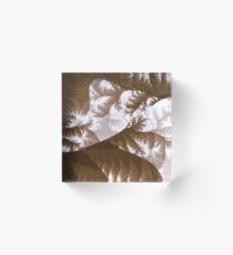 Growth 1 Brown Acrylic Block