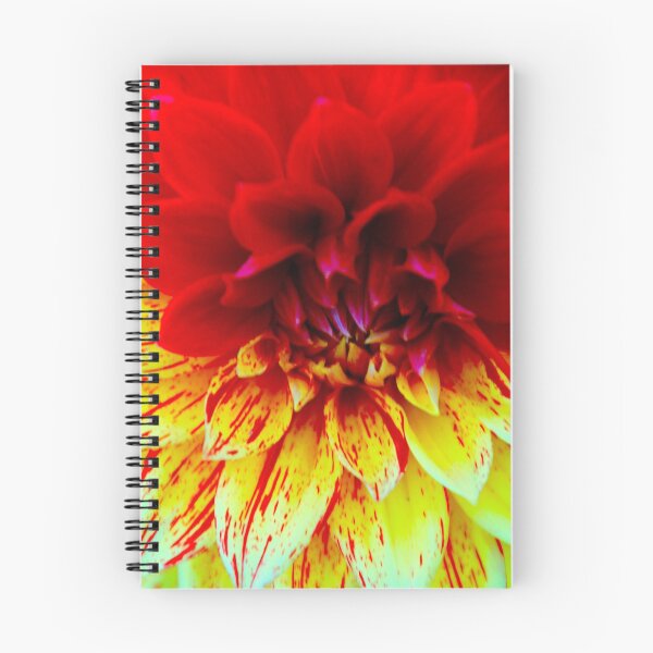Item preview, Two Toned Dahlia designed and sold by Barbara  Brown.
