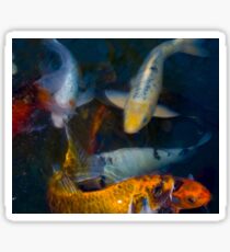Koi Fish Family Sticker