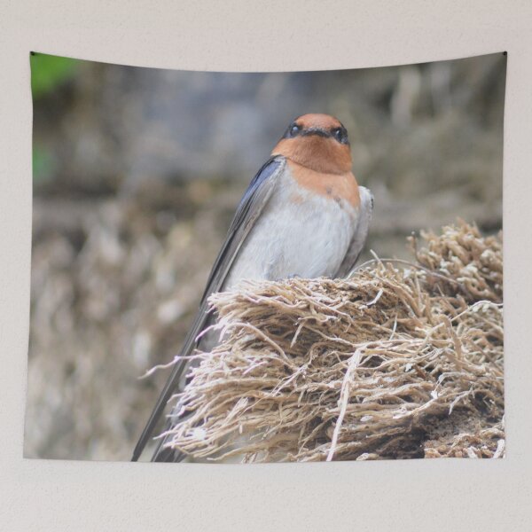 Item preview, Mellons Bay Swallow designed and sold by lizdomett.