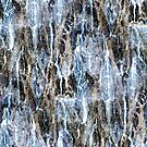 Bayou by Kathie Nichols