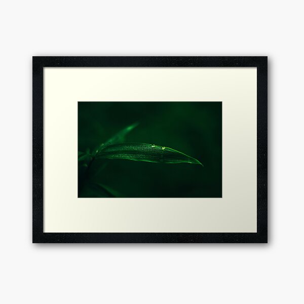 Sheet Framed Art Print