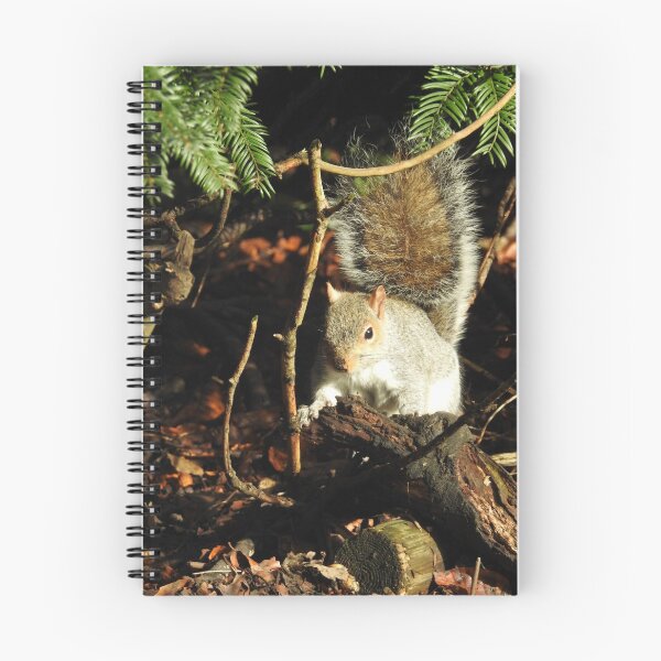 Item preview, Grey squirrel in the trees designed and sold by wenniewombat.