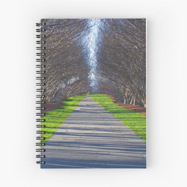 Item preview, Arched Trees designed and sold by Asiantiger247.