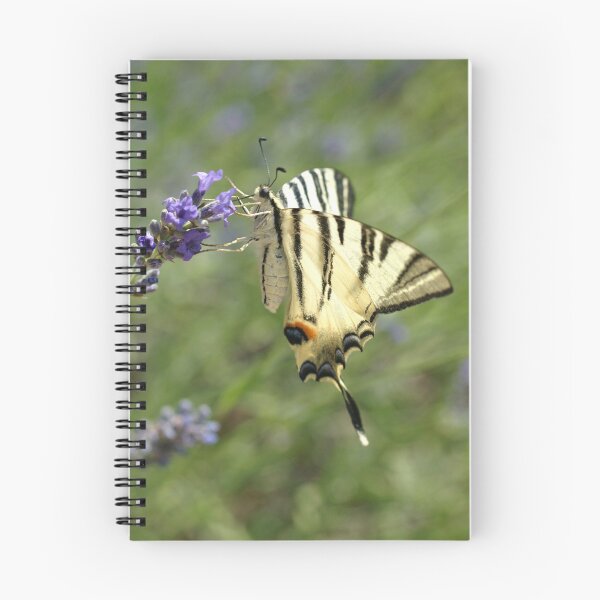 Item preview, Scarce Swallowtail  designed and sold by marens.