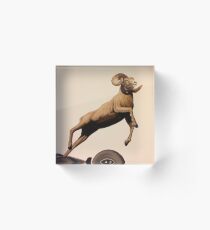 Goat - Josh Keyes Acrylic Block