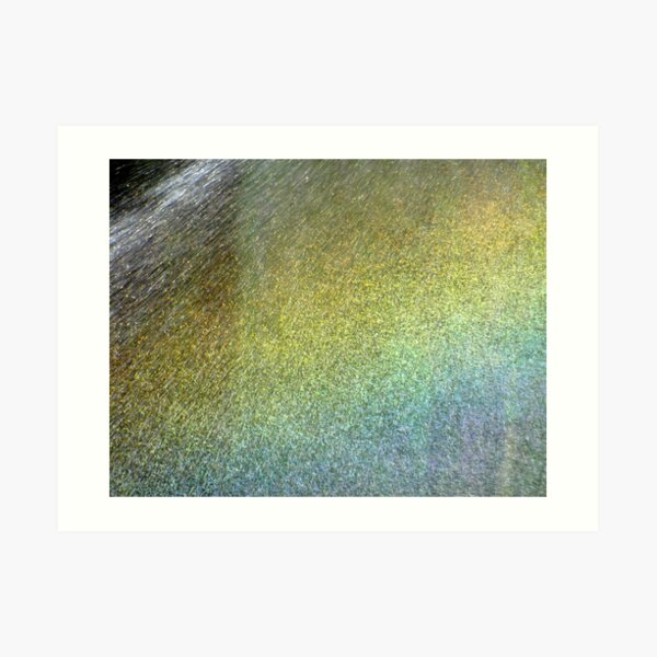 Enter the Rainbow Art Print