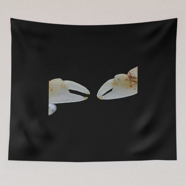 Item preview, Tiny crab claws designed and sold by SDym Photography.