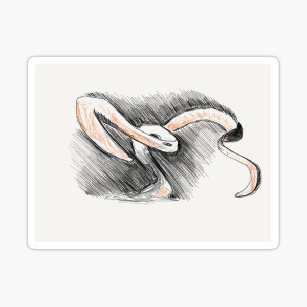 Sleek Sticker