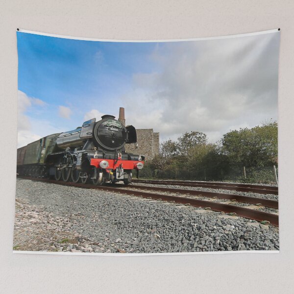 Item preview, The Flying Scotsman in Cornwall designed and sold by Terri Waters Photography & Design.