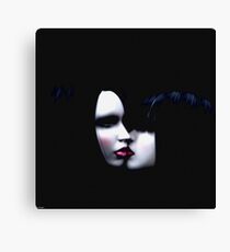 ...Moonlight.... Canvas Print