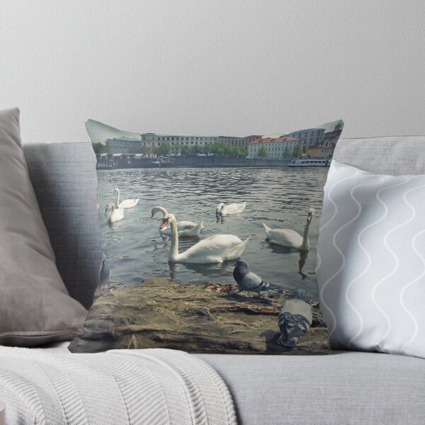 Item preview, Swans in Prague designed and sold by rasim1.
