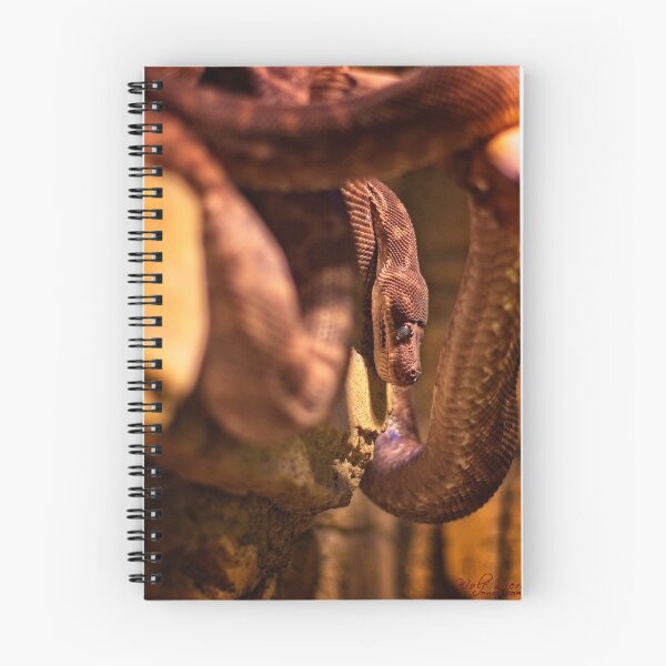 Item preview, Animal Portrait - Snake designed and sold by Wolf Sverak Photography.