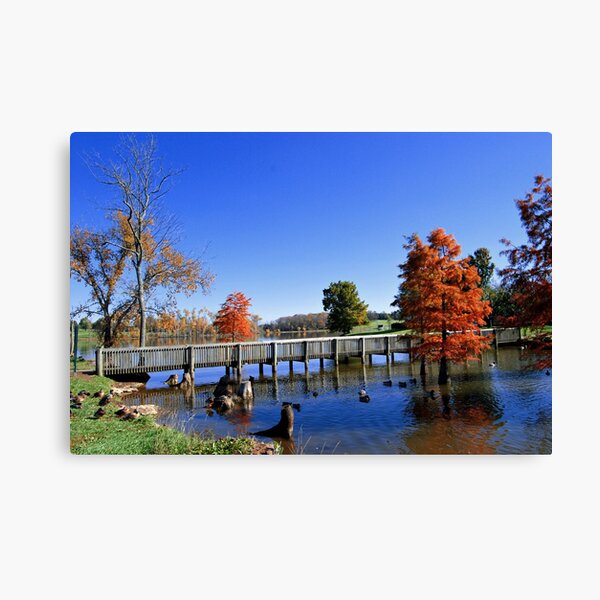 Fall Colors Canvas Print