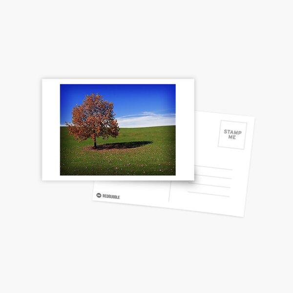 Autumn Tree Postcard