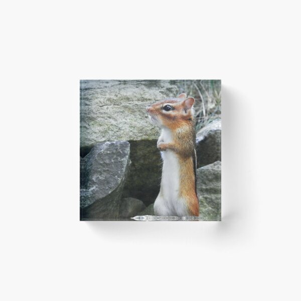 Item preview, High Alert designed and sold by Laurie Minor.