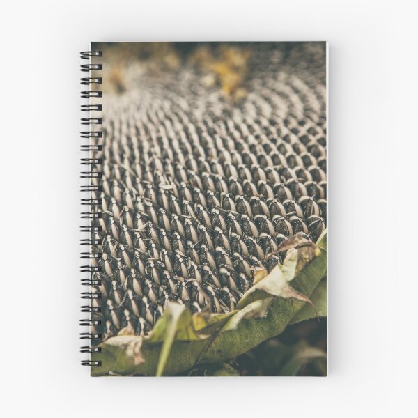 Item preview, Mature sunflower background designed and sold by Lukasz Szczepanski.