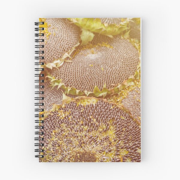 Item preview, Mature sunflowers background designed and sold by Lukasz Szczepanski.