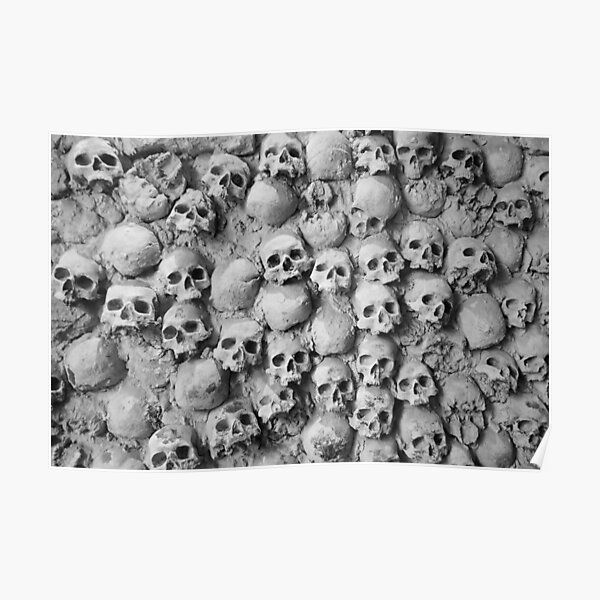Skull Wall Poster