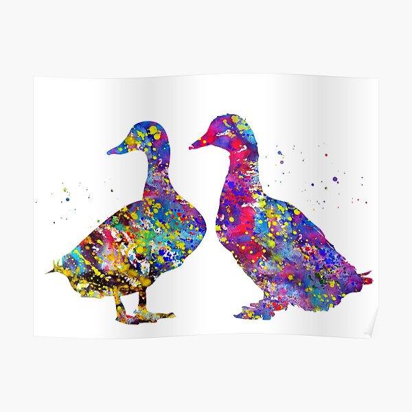 Poster Dos Patos Patos Arte De La Acuarela De Erzebetth Redbubble