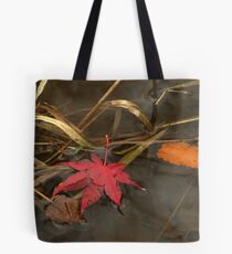 Magic Carpet Ride Tote Bag