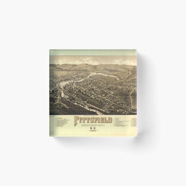 Item preview, Aerial View of Pittsfield, New Hampshire (1884) designed and sold by allhistory.