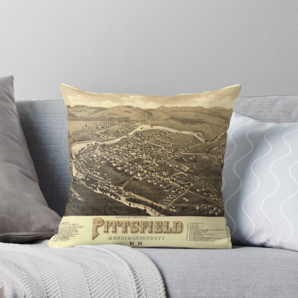 Item preview, Aerial View of Pittsfield, New Hampshire (1884) designed and sold by allhistory.
