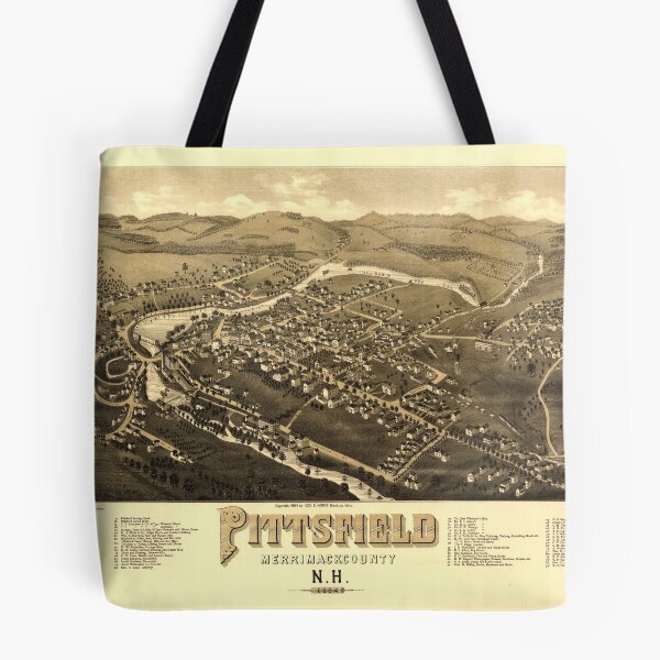 Item preview, Aerial View of Pittsfield, New Hampshire (1884) designed and sold by allhistory.