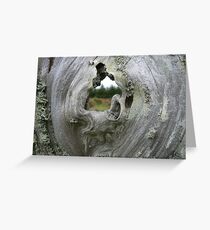 Passage, Cape Blanco, Oregon Greeting Card