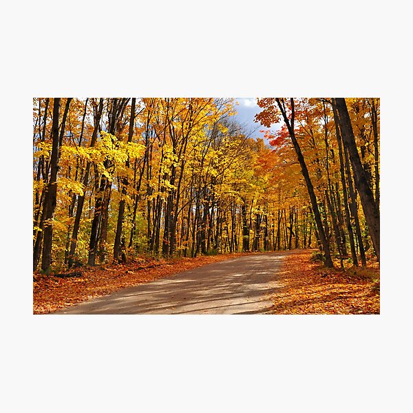 Arowhon Lodge Road, Algonquin Photographic Print