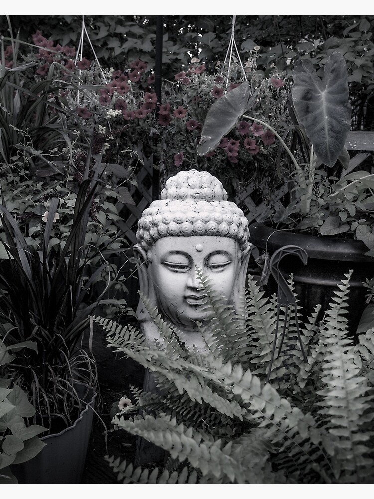 Thumbnail 3 of 3, Canvas Print, Be Where You Are designed and sold by darren-j-mcleod.