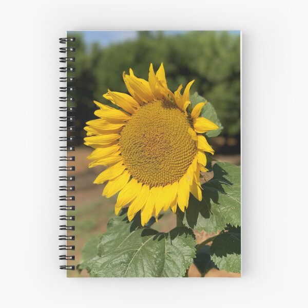 Item preview, Sunflower Basking in the Sun designed and sold by 2CrabbySisters.