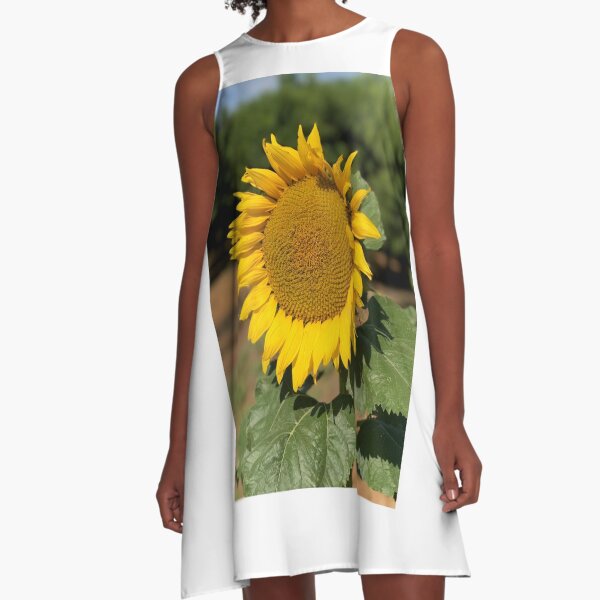 Sunflower Basking in the Sun A-Line Dress