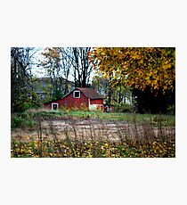 I'm Still Here Photographic Print
