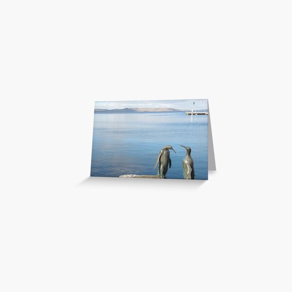 Those Burds dinnae wurry me, am' clean. Greeting Card