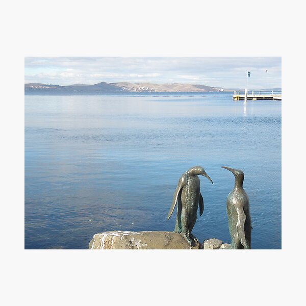 Those Burds dinnae wurry me, am' clean. Photographic Print