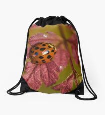 WHEN WINTER COMES... Drawstring Bag