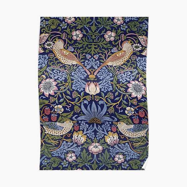 oiseaux Poster