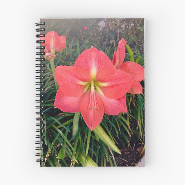 Item preview, Dark Pink Star Shaped Flower designed and sold by 2CrabbySisters.
