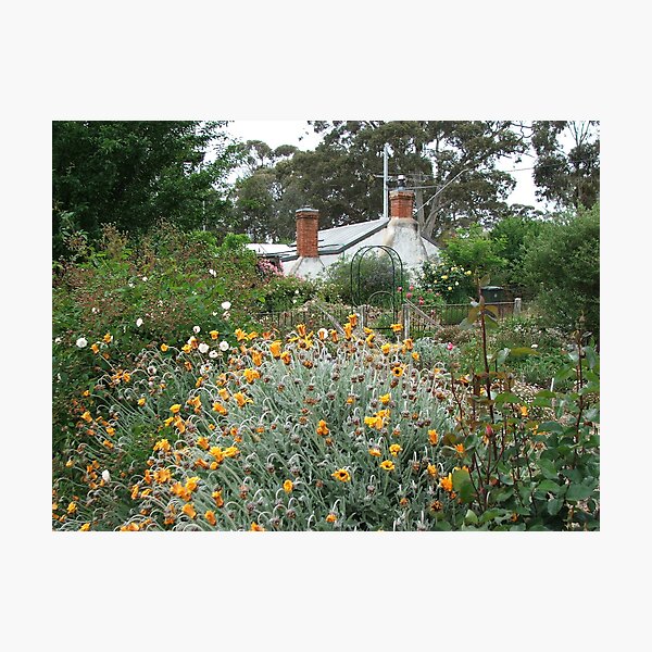 Item preview, Keyneton cottage garden designed and sold by Bowen Bowie.