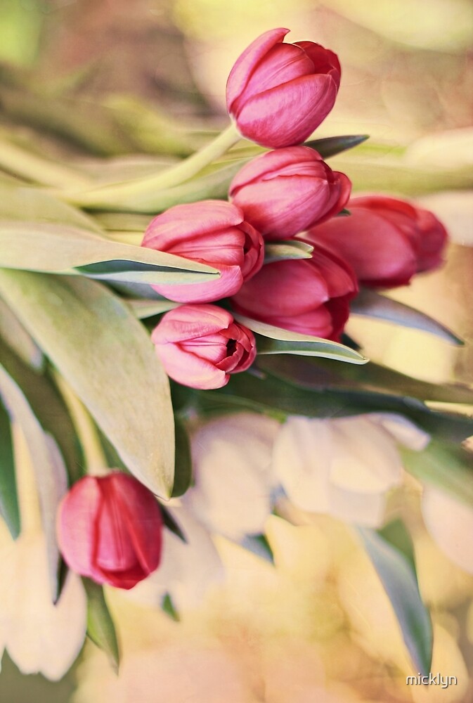 "Vintage Tulips" by micklyn Redbubble