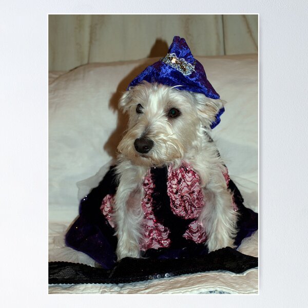 Item preview, Bella's night out designed and sold by Pascal and Isabella Inard.